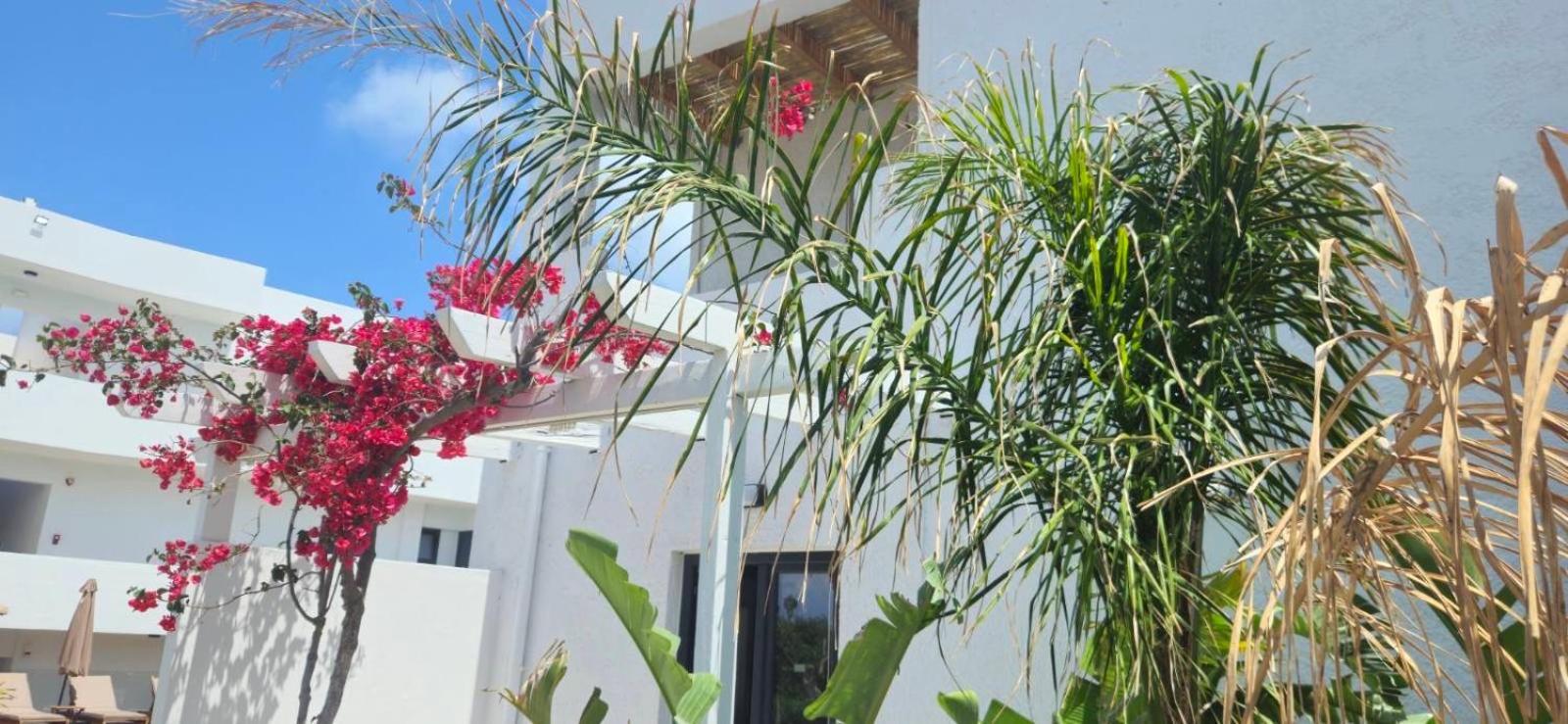 Aegean View Hotel - Adults Only Szfáka Kültér fotó